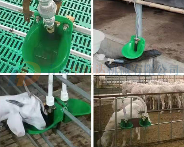 羊用饮水碗